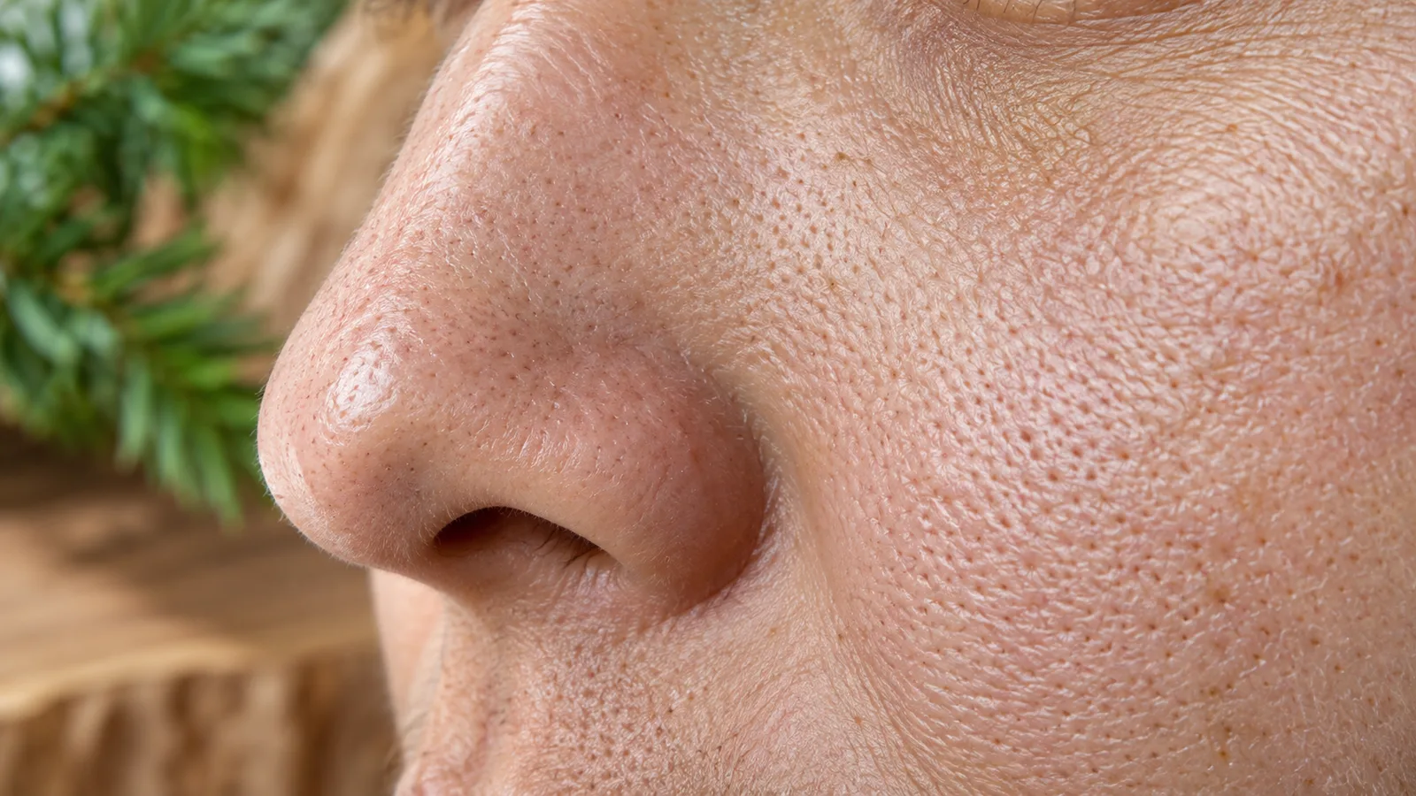 Macro close-up of the skin beside a nose, showing enlarged pores in natural light.